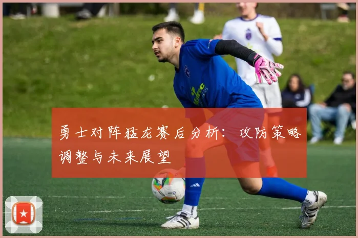勇士对阵猛龙赛后分析：攻防策略调整与未来展望